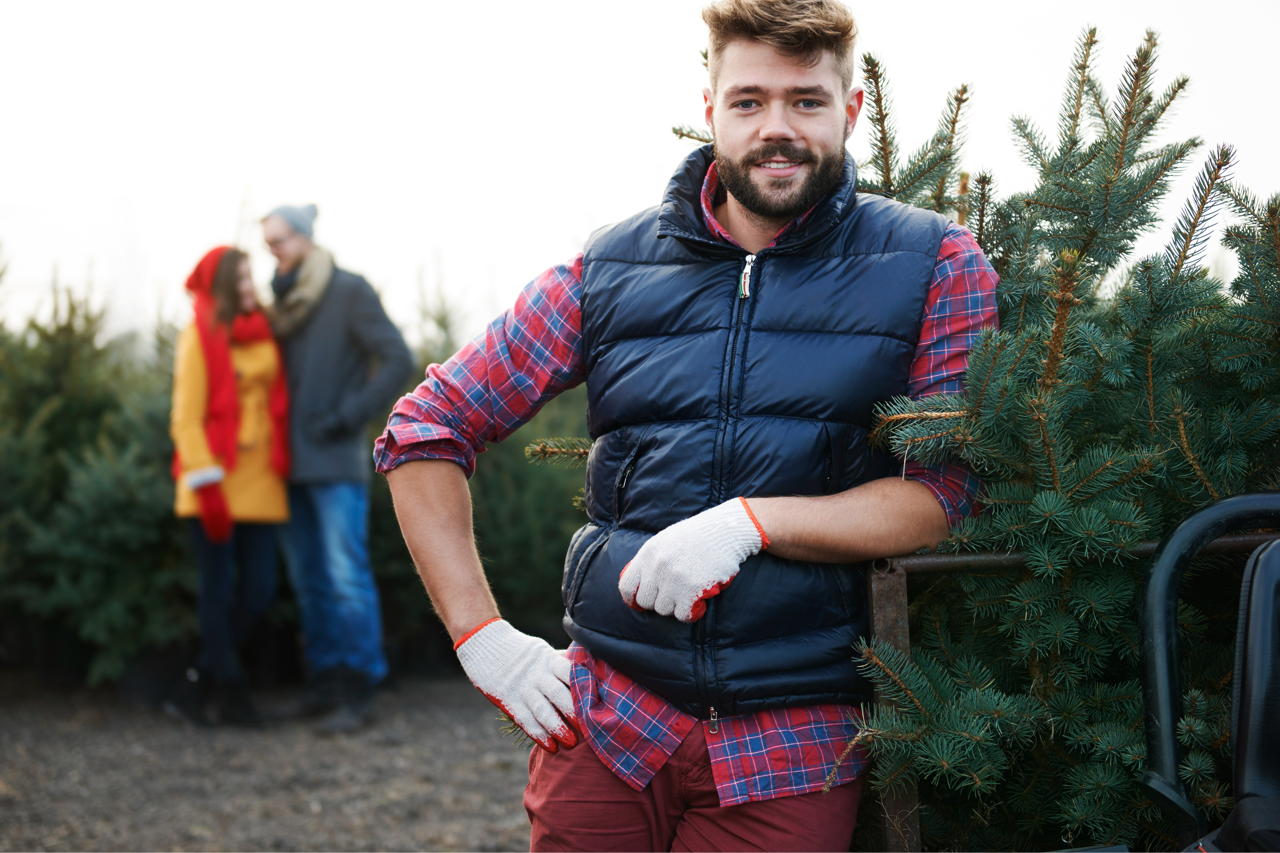 Raleign tree services